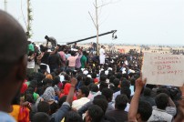 Jallikattu protest across the globe