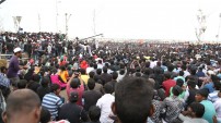 Jallikattu protest across the globe