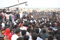 Jallikattu protest across the globe