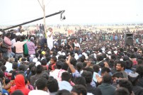 Jallikattu protest across the globe