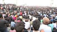 Jallikattu protest across the globe