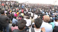 Jallikattu protest across the globe