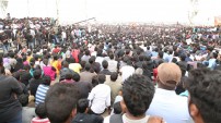 Jallikattu protest across the globe