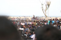 Jallikattu protest across the globe