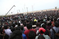 Jallikattu protest across the globe