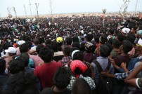 Jallikattu protest across the globe