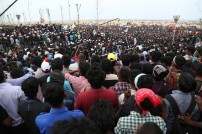 Jallikattu protest across the globe