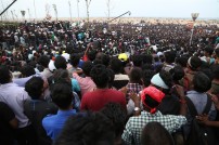 Jallikattu protest across the globe