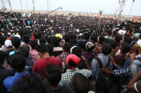 Jallikattu protest across the globe