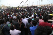 Jallikattu protest across the globe