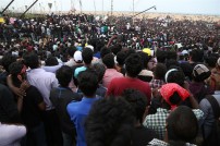 Jallikattu protest across the globe