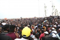 Jallikattu protest across the globe