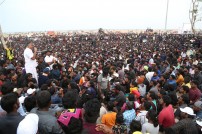 Jallikattu protest across the globe