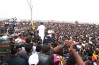 Jallikattu protest across the globe