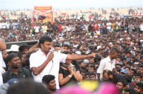 Jallikattu protest across the globe