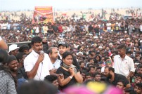 Jallikattu protest across the globe