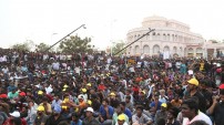 Jallikattu protest across the globe