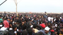 Jallikattu protest across the globe