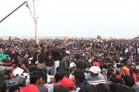 Jallikattu protest across the globe