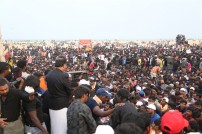 Jallikattu protest across the globe