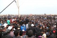 Jallikattu protest across the globe