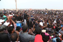 Jallikattu protest across the globe