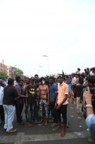 Jallikattu protest across the globe