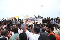 Jallikattu protest across the globe