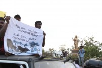 Jallikattu protest across the globe