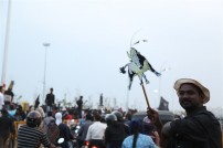 Jallikattu protest across the globe