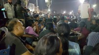 Jallikattu protest across the globe