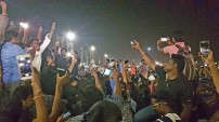 Jallikattu protest across the globe