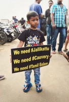 Jallikattu protest across the globe