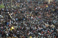 Jallikattu protest across the globe