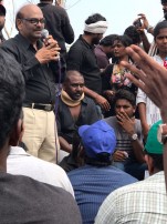 Jallikattu protest across the globe