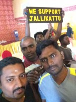 Jallikattu protest across the globe