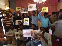 Jallikattu protest across the globe