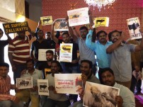 Jallikattu protest across the globe