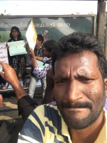 Jallikattu protest across the globe