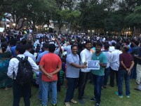 Jallikattu protest across the globe