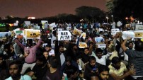 Jallikattu protest across the globe