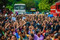 Jallikattu protest across the globe