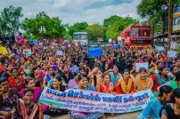 Jallikattu protest across the globe