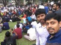 Jallikattu protest across the globe