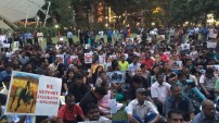 Jallikattu protest across the globe