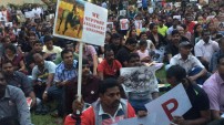 Jallikattu protest across the globe