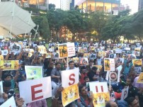 Jallikattu protest across the globe