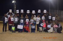 Jallikattu protest across the globe