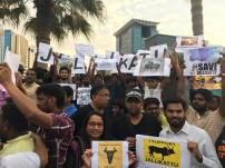 Jallikattu protest across the globe