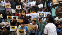 Jallikattu protest across the globe